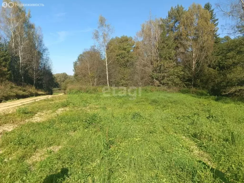 Участок в Жуковский район, село Высокиничи (2615.5 м) - Фото 0