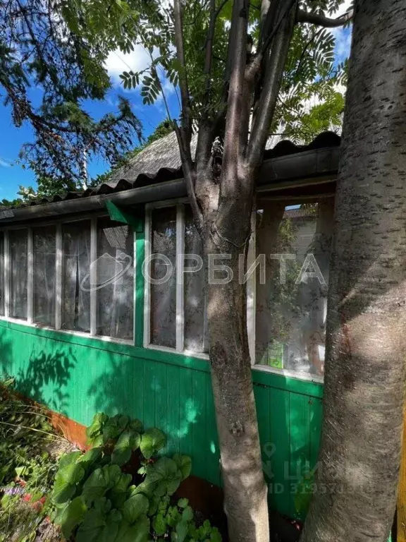 Дом в Тюменская область, Тюменский район, Калинка садоводческое ... - Фото 2