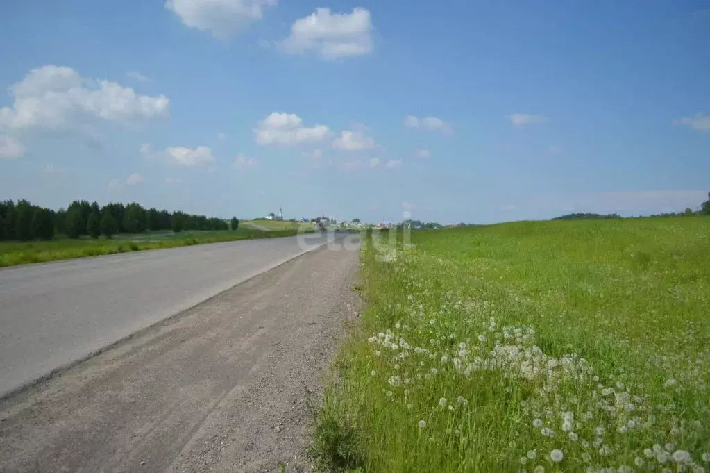 Участок в Кемеровская область, Прокопьевск Сафоново мкр,  (10.0 сот.) - Фото 1