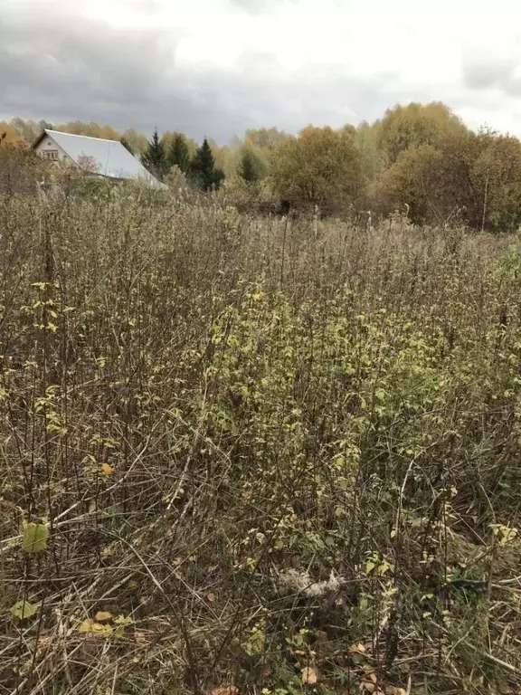 Участок в Нижегородская область, Богородский муниципальный округ, д. ... - Фото 1