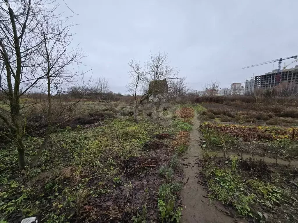 Участок в Путёвка, территория садоводческого общества Снежка (8 м) - Фото 2