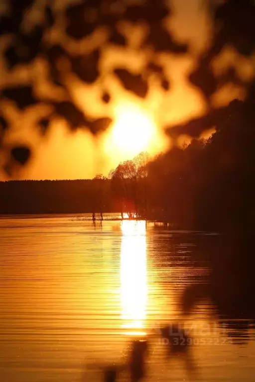 Участок в Московская область, Можайский муниципальный округ, Усадьбы ... - Фото 1