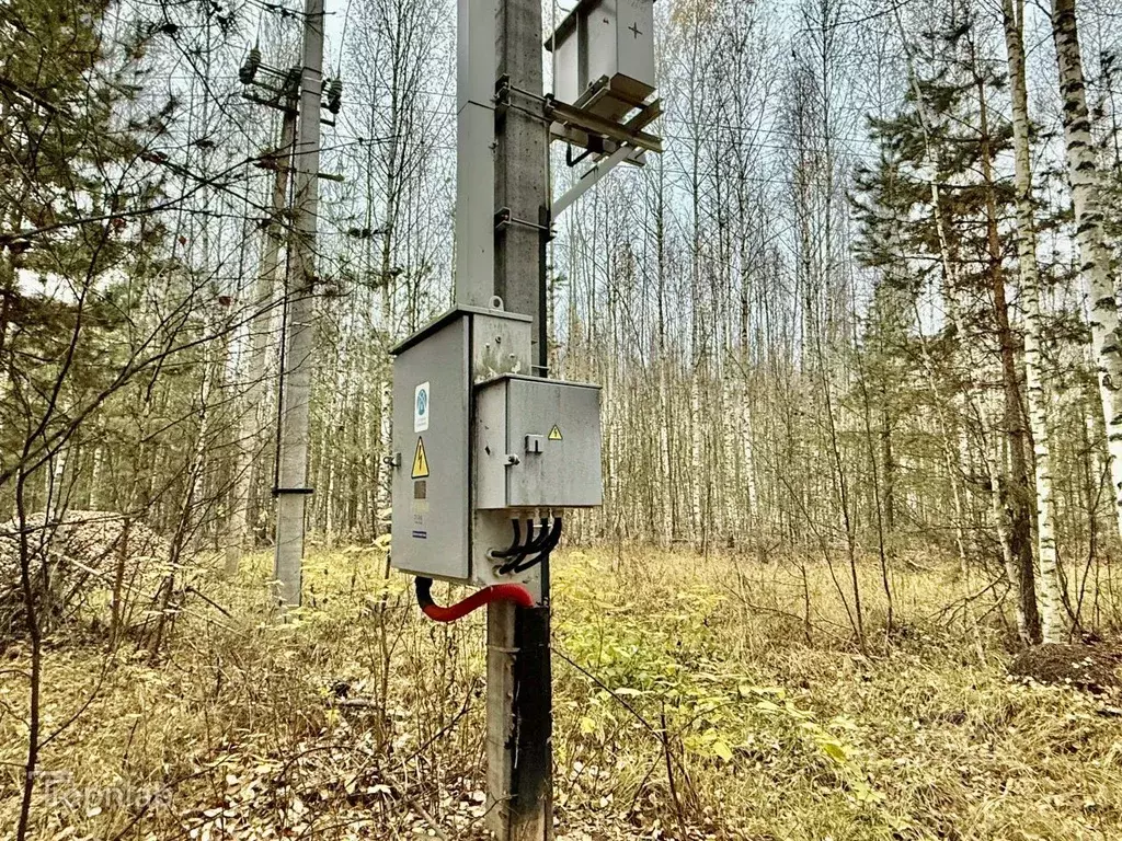 Участок в Татарстан, Лаишевский район, Орловское с/пос, д. Орел  (73.0 ... - Фото 2