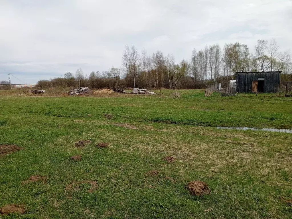 Участок в Владимирская область, Судогодский район, Головинское ... - Фото 1