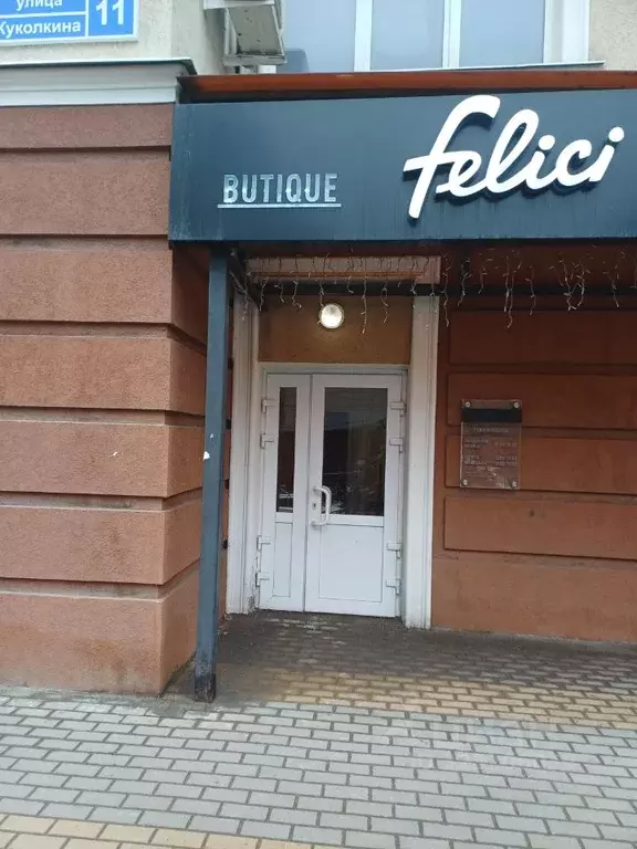 Помещение свободного назначения в Воронежская область, Воронеж ул. ... - Фото 2