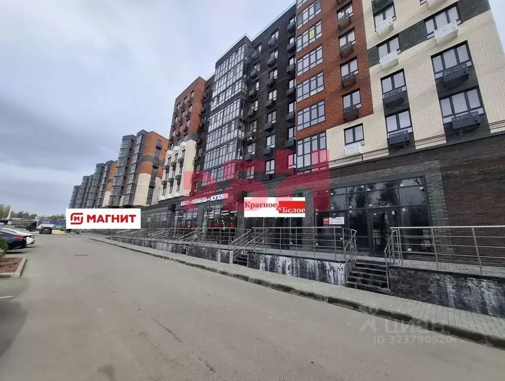 Торговая площадь в Ростовская область, Аксай просп. Ленина, 40А (61 м) - Фото 2