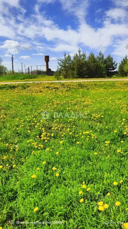 Участок в Владимирская область, Суздальский район, Селецкое ... - Фото 0