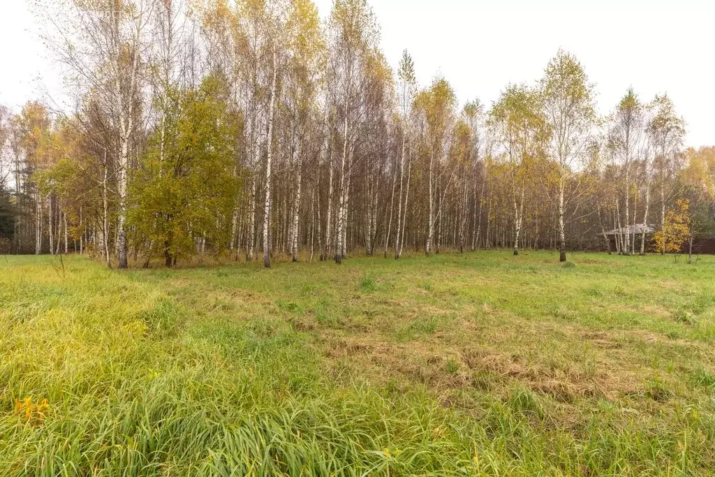 Участок в Московская область, Можайский муниципальный округ, дачное ... - Фото 2