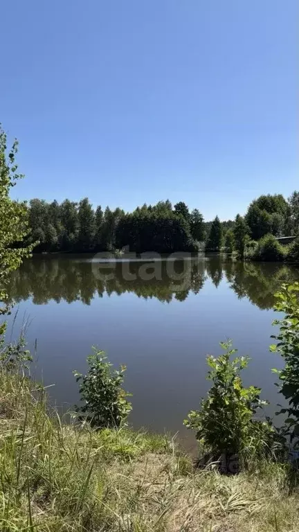 Участок в Брянская область, Брянский район, Нетьинское с/пос, Нетьинка ... - Фото 1