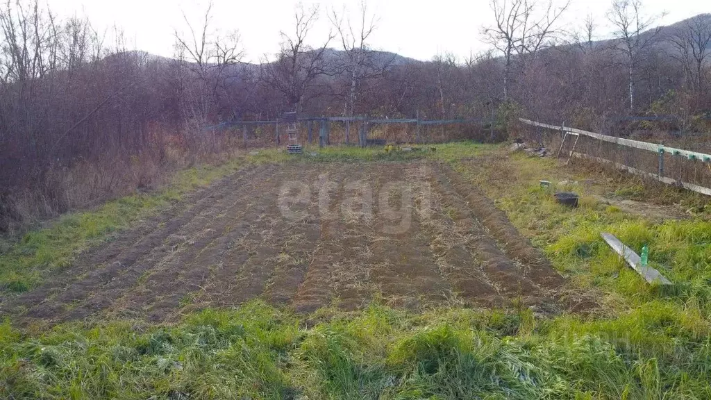 Участок в Камчатский край, Елизовский муниципальный округ, Березка СНТ ... - Фото 1