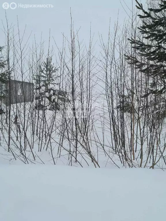 Участок в Республика Коми, муниципальный район Сысольский, ... - Фото 1