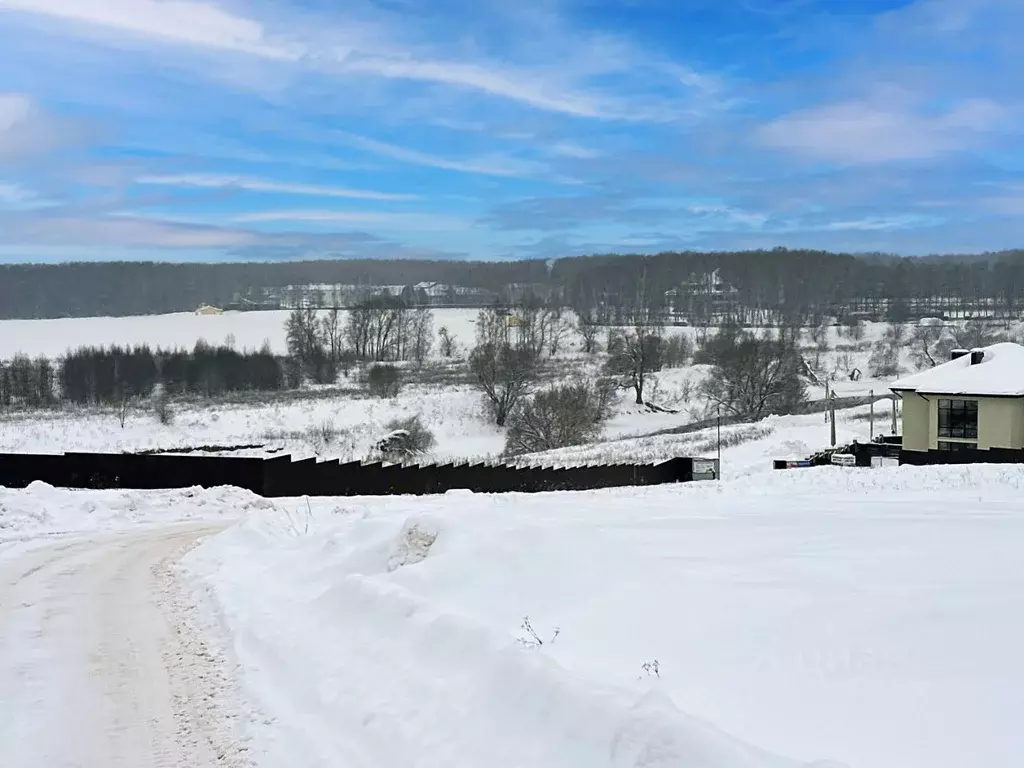 Участок в Московская область, Раменский муниципальный округ, с. ... - Фото 2