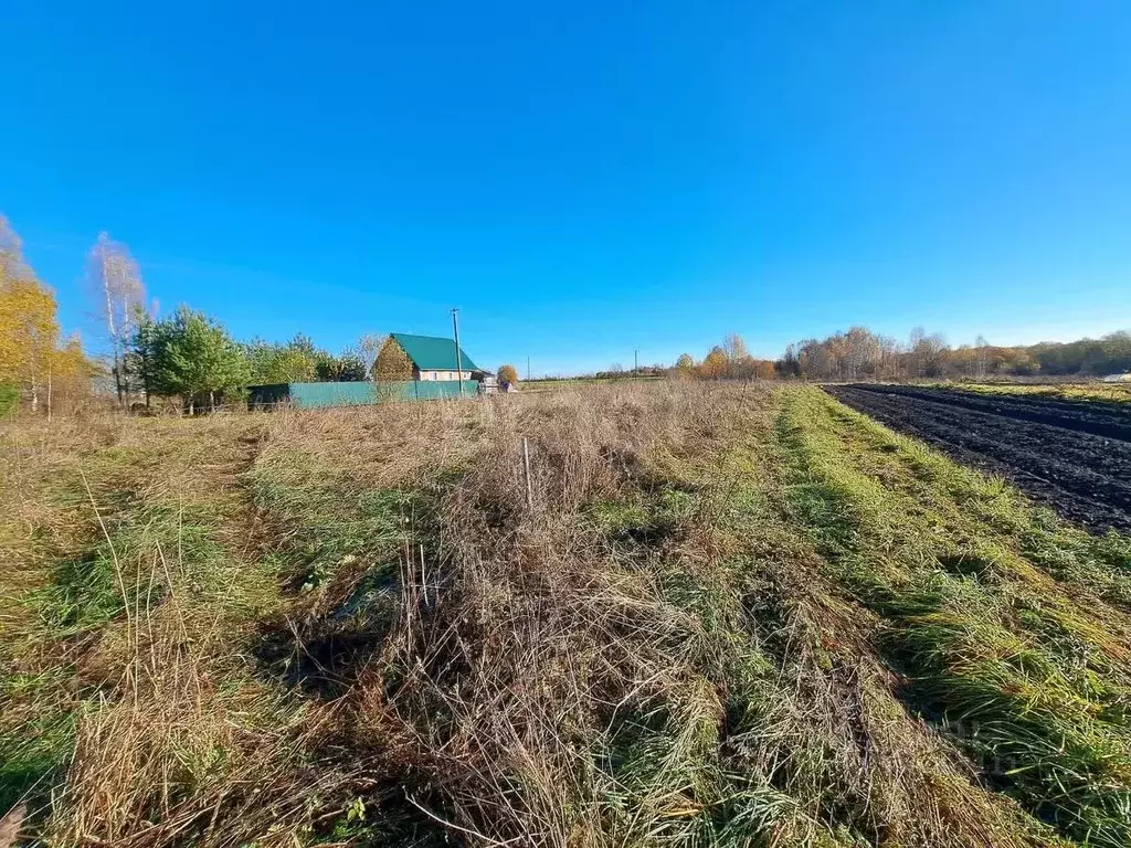 Участок в Вологодская область, Шекснинский район, Сиземское с/пос, д. ... - Фото 1