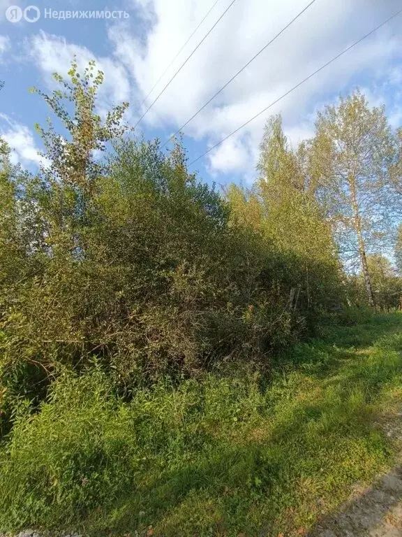 Участок в Тверь, садовое товарищество Дружба, 14 (5.5 м) - Фото 0