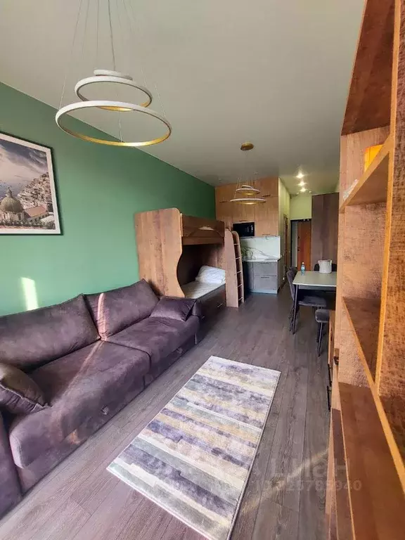 Студия Краснодарский край, Сочи городской округ, Дагомыс пгт ш. ... - Фото 2