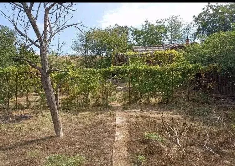 Участок в Севастополь Маяк-1 садовое товарищество, 206 (7.0 сот.) - Фото 1