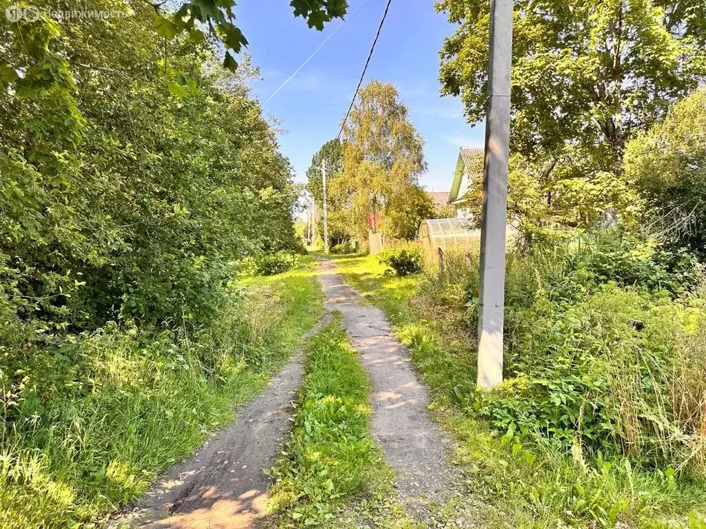 Участок в Волосовский район, Бегуницкое сельское поселение, деревня ... - Фото 1