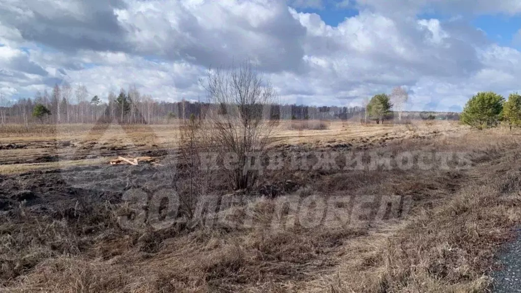 Участок в Тюменская область, Нижнетавдинский район, д. Штакульская  ... - Фото 1