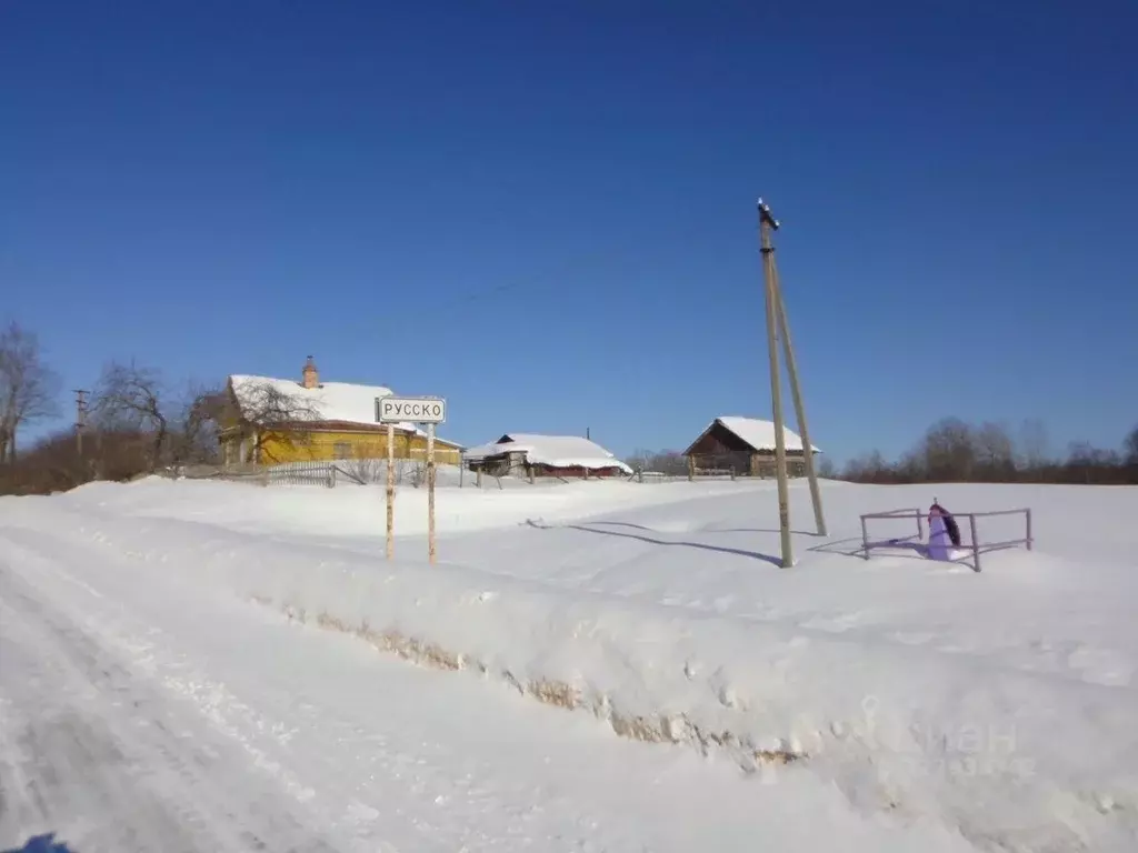 Участок в Ленинградская область, Сланцевский район, Старопольское ... - Фото 1