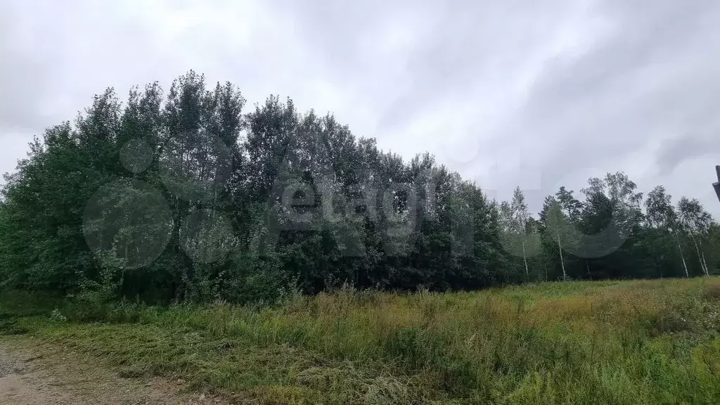 Участок 10,1 сот. (СНТ, ДНП) - Фото 0