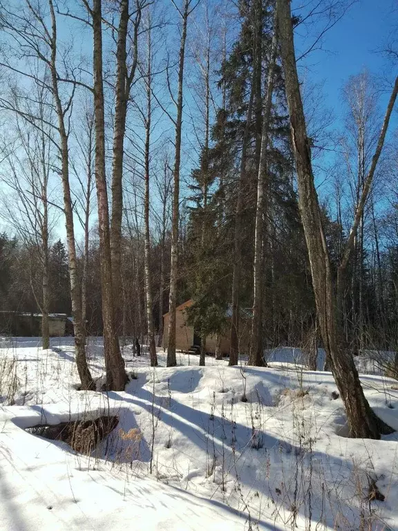 Участок в Санкт-Петербург Поселок Лисий НОС, просп. Большой, 45 (12.0 ... - Фото 2