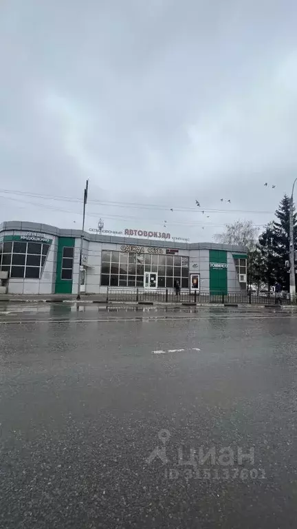 Торговая площадь в Белгородская область, Белгород просп. Богдана ... - Фото 1