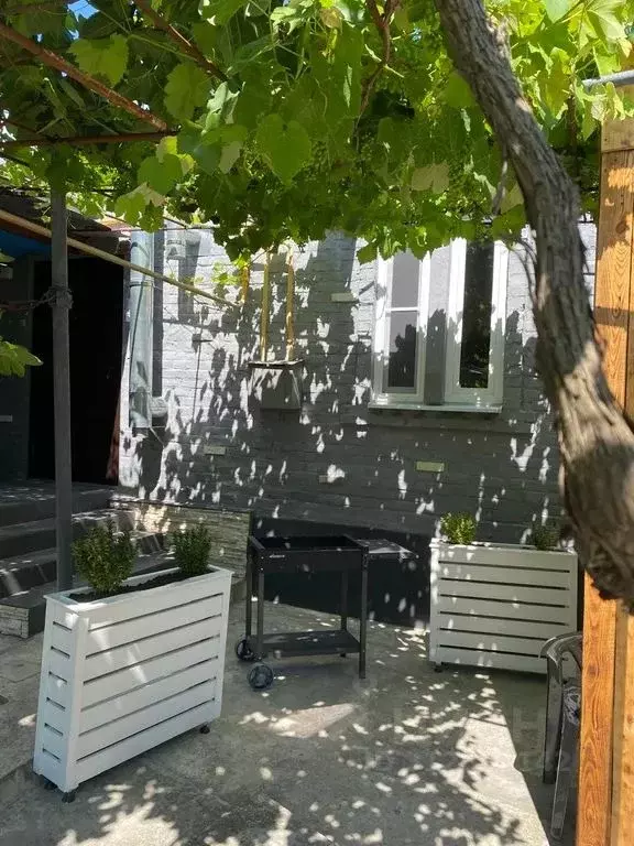 Дом в Краснодарский край, Новороссийск ул. Холостякова, 27 (40 м) - Фото 1