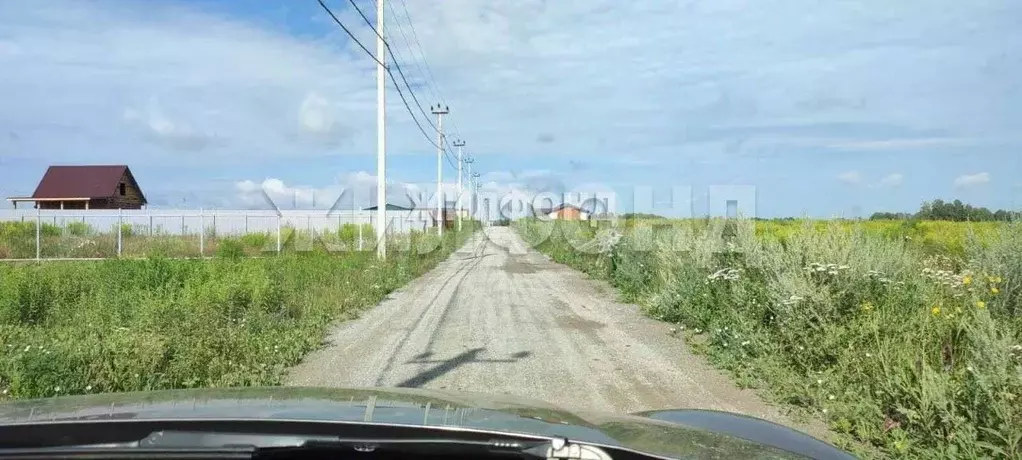 Участок в Новосибирская область, Мошковский район, Барлакский ... - Фото 0