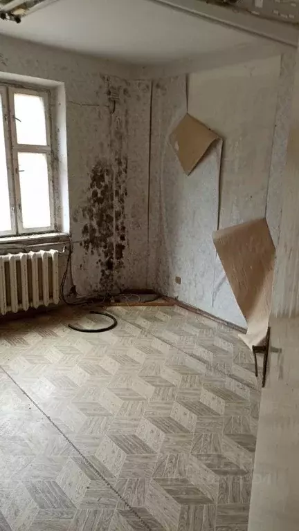 Помещение свободного назначения в Тульская область, Арсеньево рп ул. ... - Фото 1
