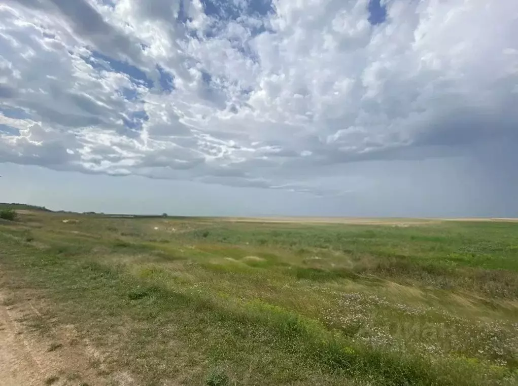 Участок в Крым, Раздольненский район, Березовское с/пос, с. Березовка  ... - Фото 1