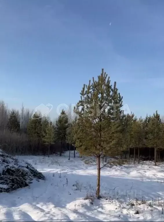 Участок в Тюменская область, Нижнетавдинский район, д. Московка  (6.0 ... - Фото 0