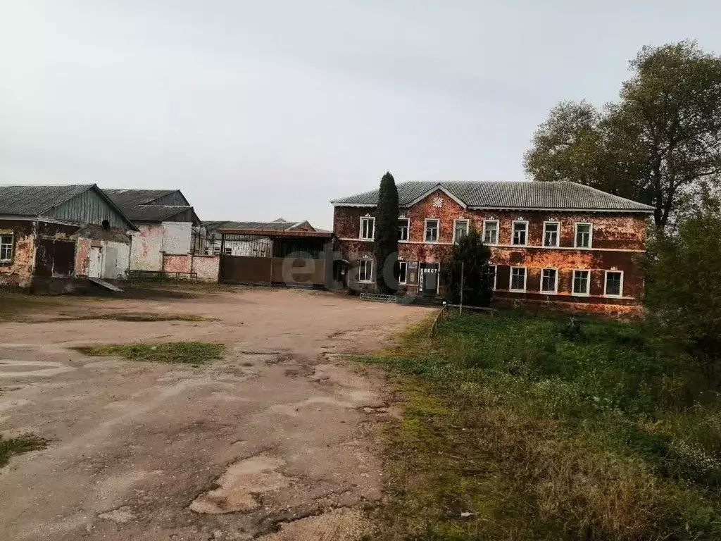 Участок в Брянская область, Клинцовский район, пос. Первое Мая  (403.0 ... - Фото 2