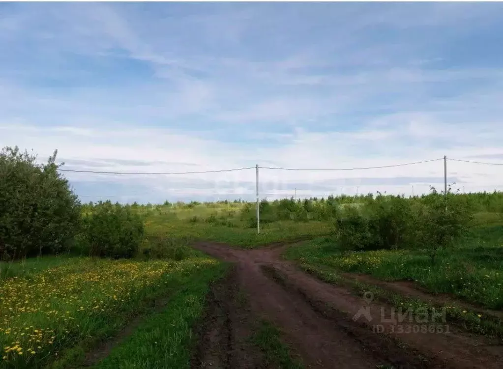 Участок в Томская область, Томский район, с. Корнилово ул. Жирова ... - Фото 1