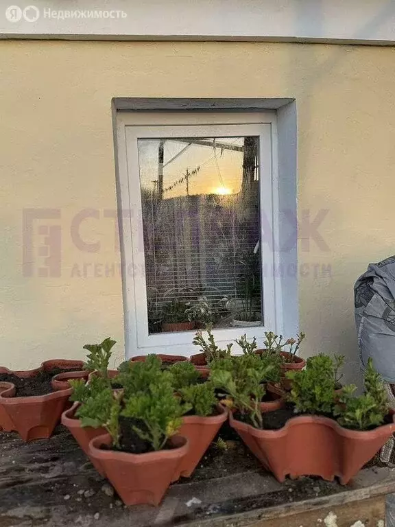 Дом в Плодовое, улица Ленина (50 м) - Фото 1