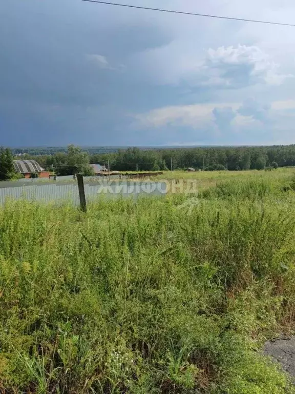 Участок в Новосибирская область, Новосибирский район, Плотниковский ... - Фото 0