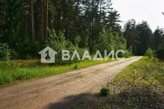 Участок в Ленинградская область, Всеволожский район, Свердловское ... - Фото 1