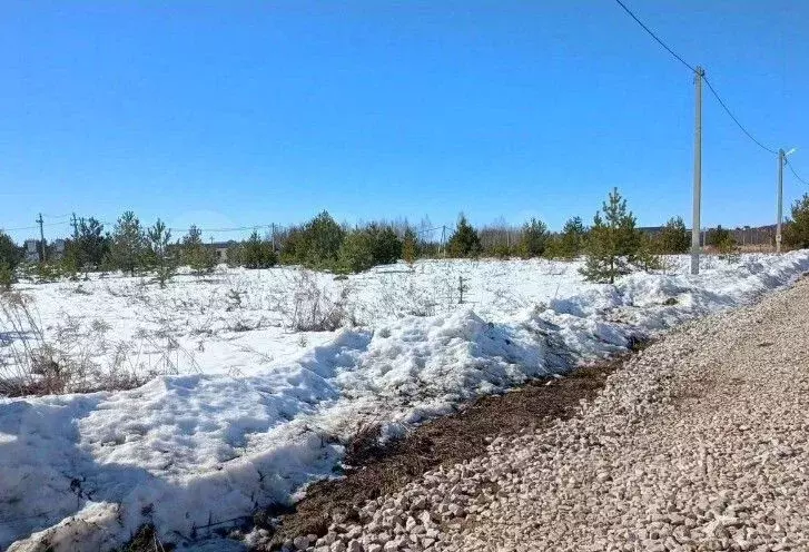 Участок в Владимирская область, Суздальский район, Боголюбовское ... - Фото 1