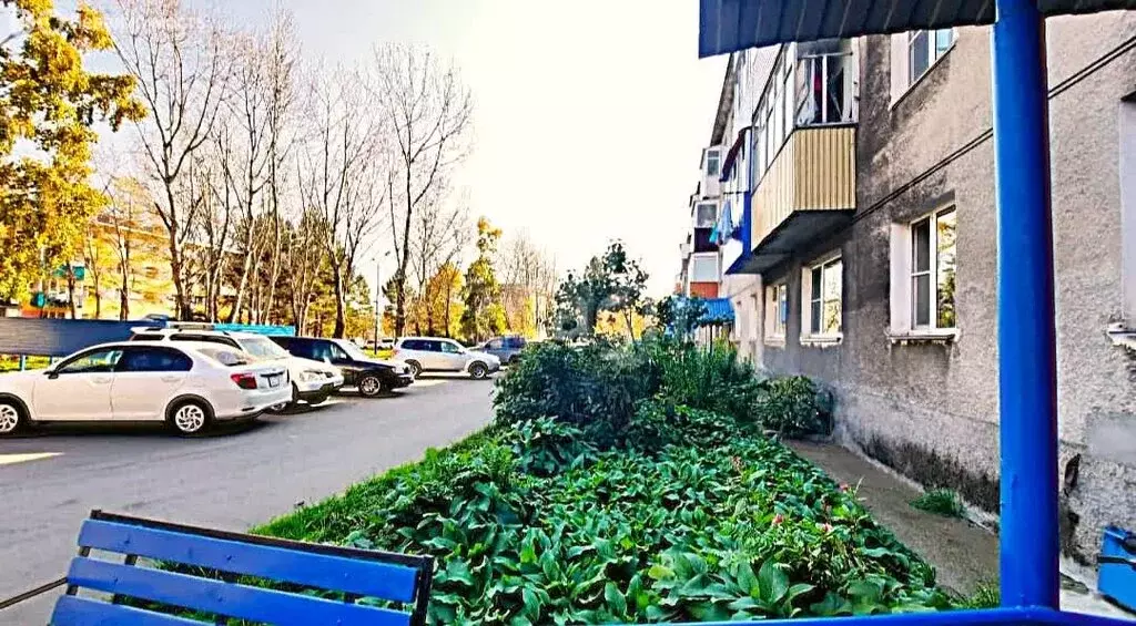 1-комнатная квартира: Елизово, улица Ленина, 34 (32.7 м) - Фото 1