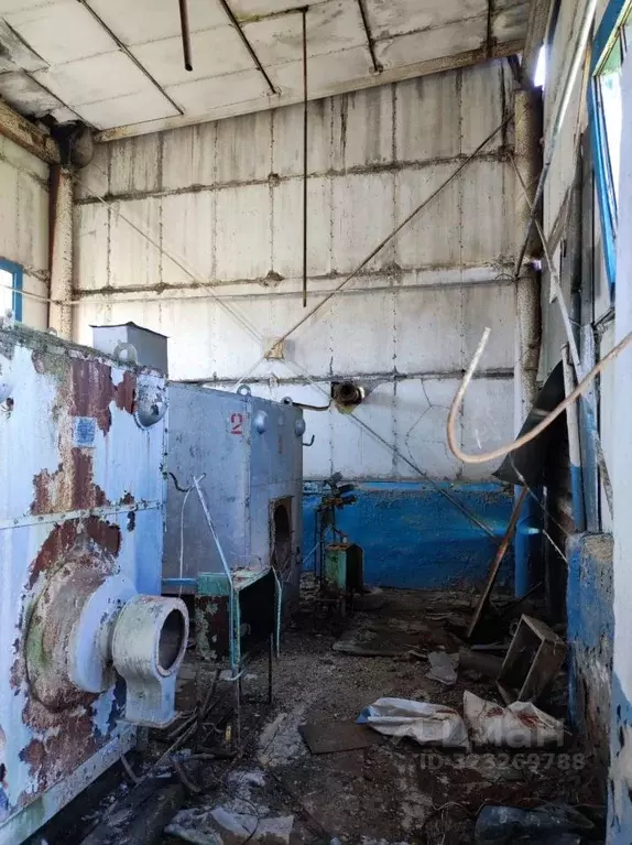 Помещение свободного назначения в Томская область, с. Парабель ул. ... - Фото 2