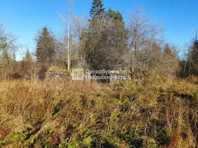 Участок 10 сот. (СНТ, ДНП) - Фото 1
