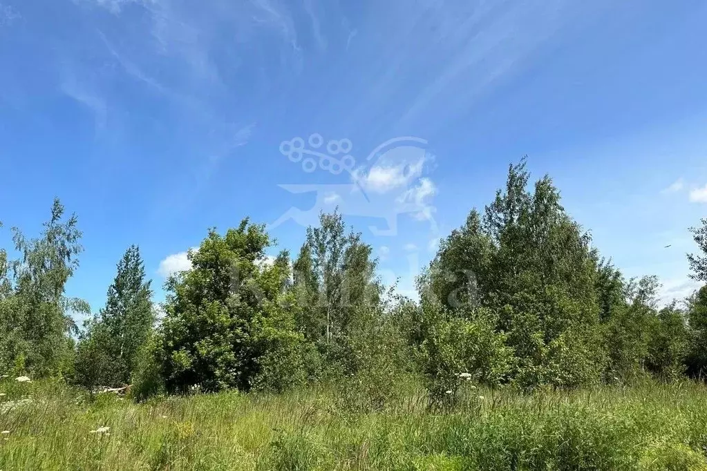 Участок в Московская область, Одинцовский городской округ, Мэдисон ... - Фото 1