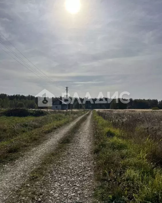 Участок в Ивановская область, Тейковский район, Большеклочковское ... - Фото 1