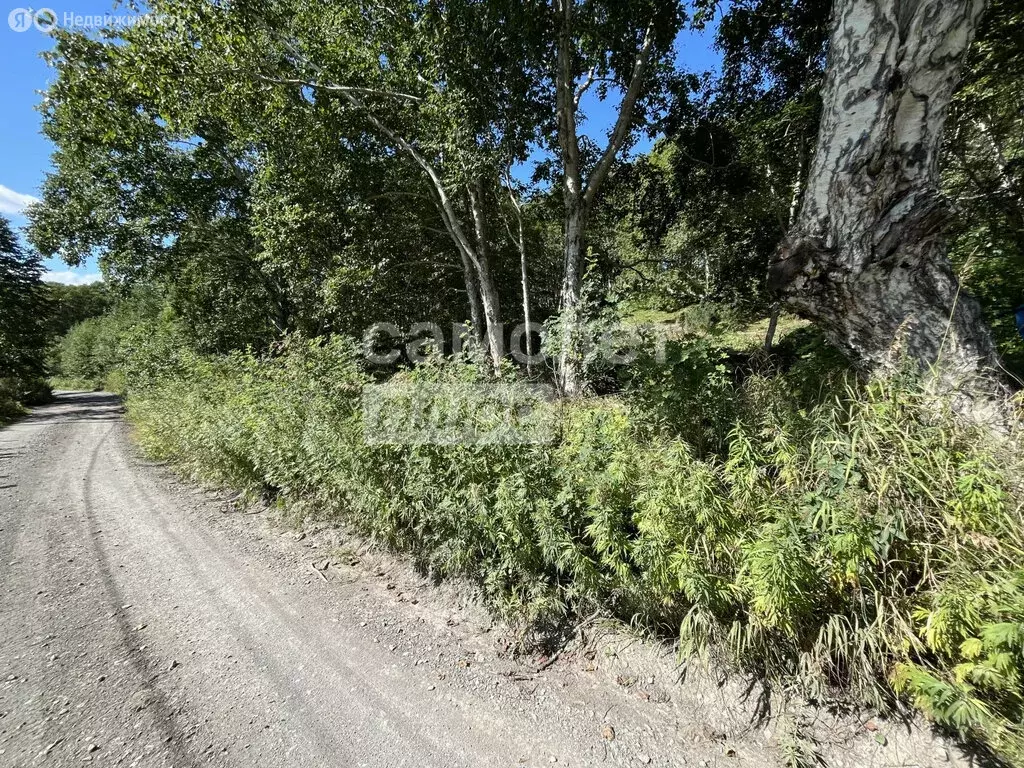 Участок в Камчатский край, Елизовский муниципальный округ, СНТ Солодок ... - Фото 0