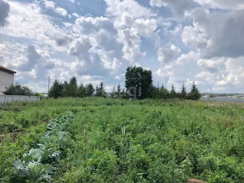 Участок в Башкортостан, Уфимский район, с. Авдон, д. Платоновка  (15.0 ... - Фото 0