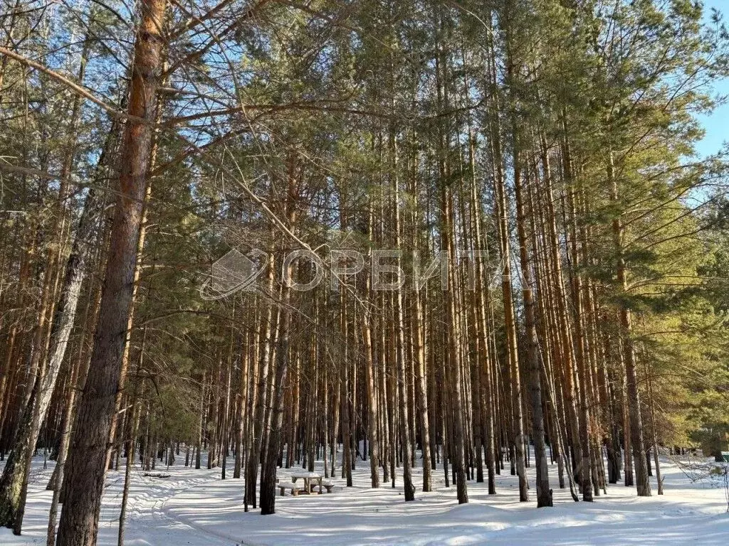 Участок в Тюменская область, Тюменский район, д. Нариманова ... - Фото 0