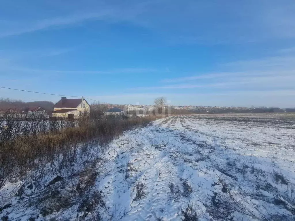 Участок в Белгородская область, Белгородский район, Комсомольское ... - Фото 0
