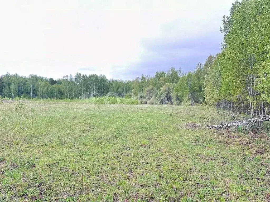 Участок в Тюменская область, Тюменский муниципальный округ, ... - Фото 1