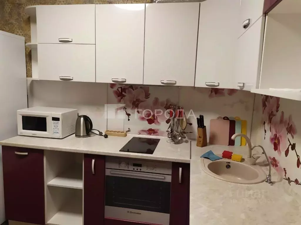 1-к кв. Новосибирская область, Новосибирск ул. Костычева, 36 (40.0 м) - Фото 1