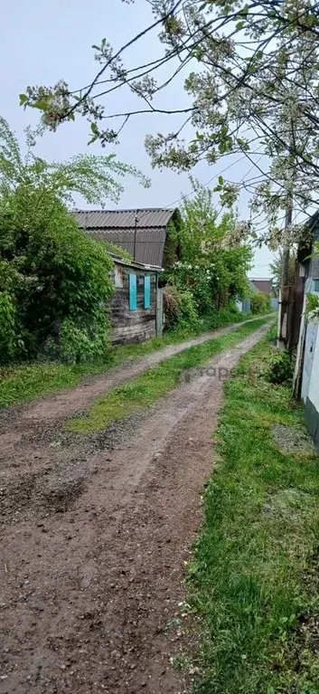 Участок 5 сот. (СНТ, ДНП) - Фото 0