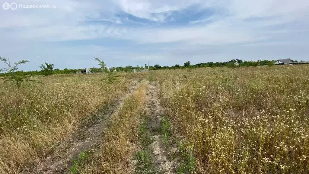 Участок в Краснодар, Прикубанский внутригородской округ, Новый ... - Фото 1